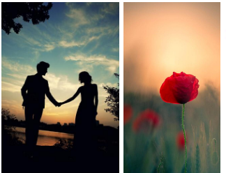 七夕浪漫情话大全(多语版) 七夕浪漫情话大全(多语版)