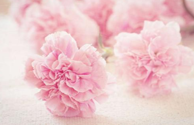 法语我爱你的5中不同说法