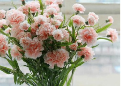 法语我爱你的5中不同说法