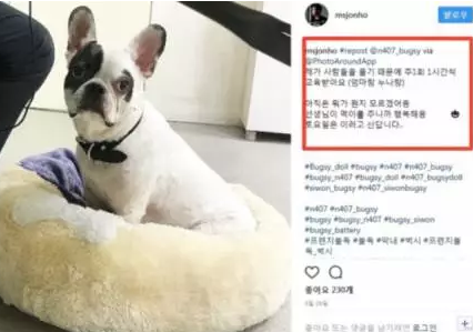 崔始源爱犬咬人致死 被要求退出新剧(组图)