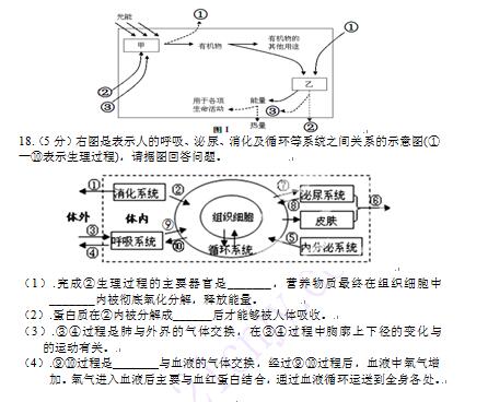 初三上学期期末生物试题及答案