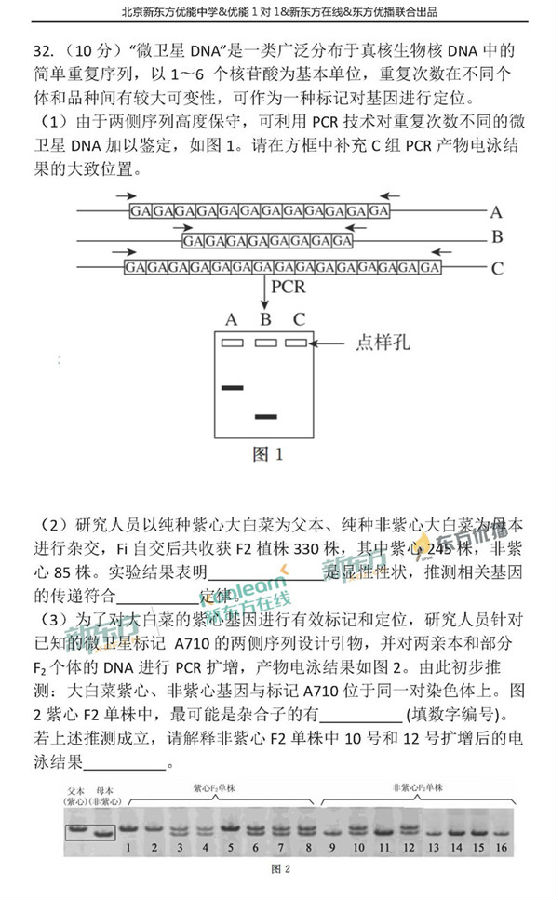 2018年1月北京东城区高三期末生物真题及答案解析