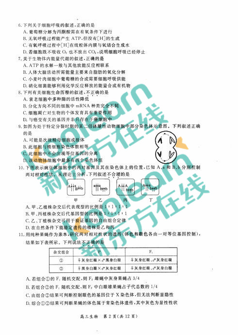 2018年1月北京东城区高三期末生物试题及答案