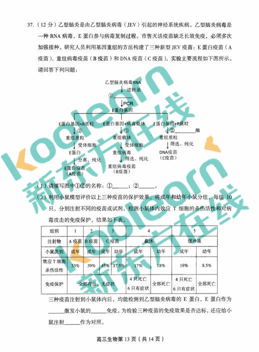 2018年1月北京丰台区高三期末生物试题及答案