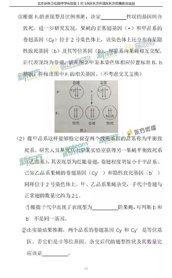 2018北京东城区高三一模理综试题及答案解析