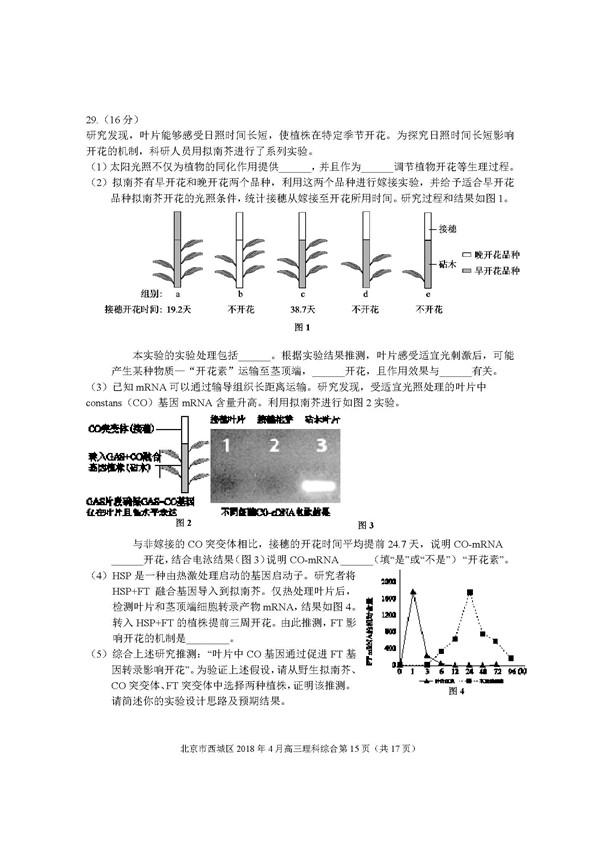 2018北京西城区高三一模理综试题及答案