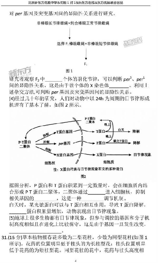 2018北京海淀区高三二模生物试题及答案