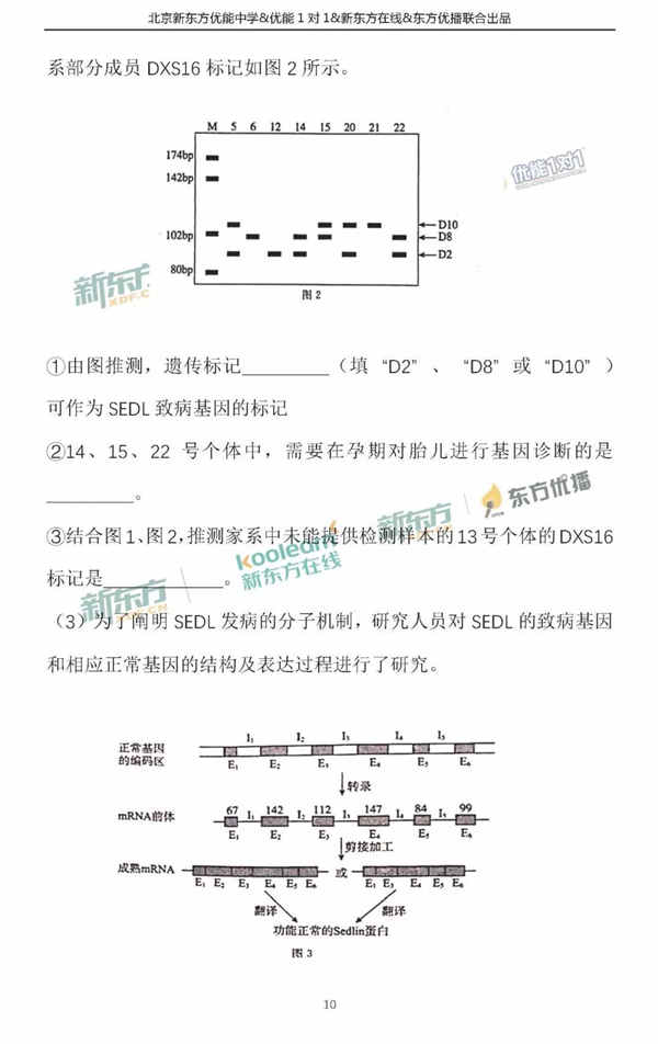 2018北京东城区高三二模理综试题及答案