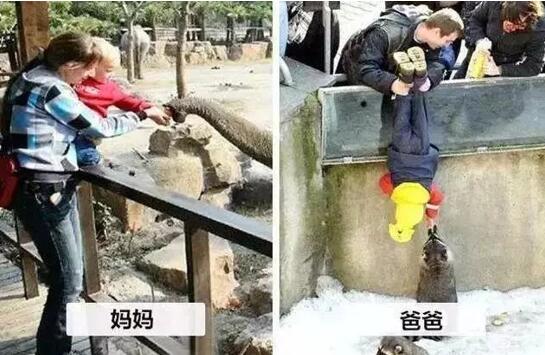 来自多纳宝妈的告白 来自多纳宝妈的告白