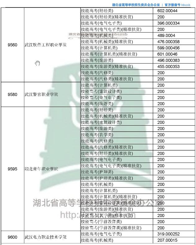 2018湖北高考技能高考专科投档分数线