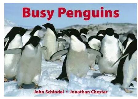 英文绘本 英文绘本