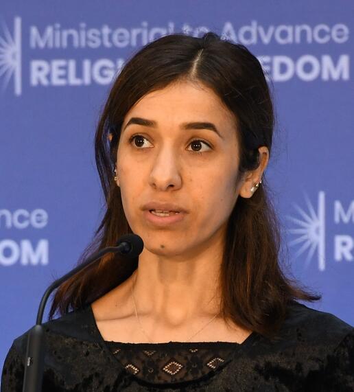 2018年诺贝尔和平奖 2018年诺贝尔和平奖