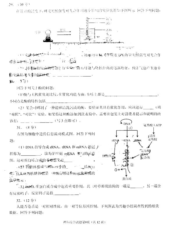 2019绵阳一诊理综试题及答案 2019绵阳一诊理综试题及答案