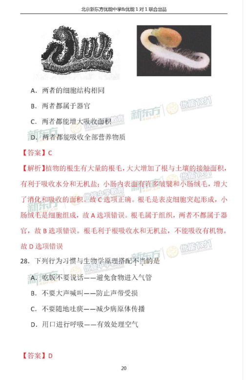 2018北京海淀初三期中生物试卷逐题解析