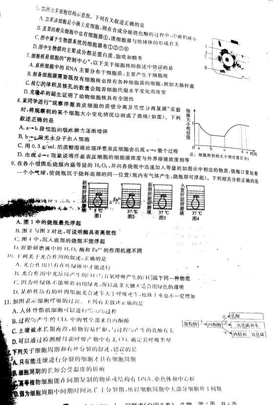 2019百校联盟TOP20十一月联考生物试题及答案