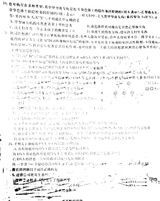 2019百校联盟TOP20十一月联考生物试题及答案