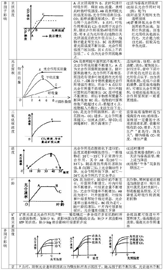 2019高考生物复习资料:光合作用与呼吸作用