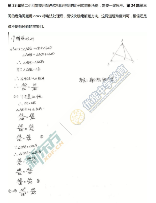 2018-2019上学期上海杨浦区中考一模数学试卷及答案