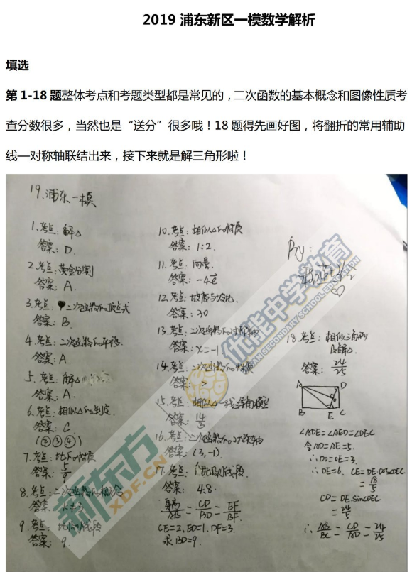 2018-2019上学期上海浦东新区中考一模数学试卷及答案