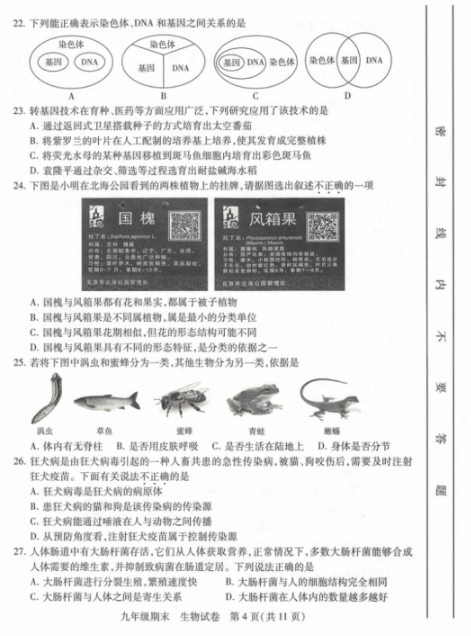 2018-2019上学期北京西城区初三期末生物试卷及答案