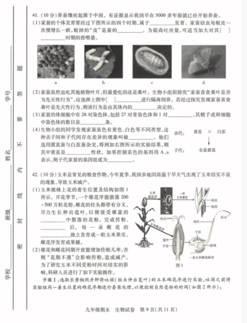 2018-2019上学期北京西城区初三期末生物试卷及答案