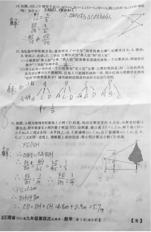 2019届江西九年级第四次中考大联考数学试题及答案