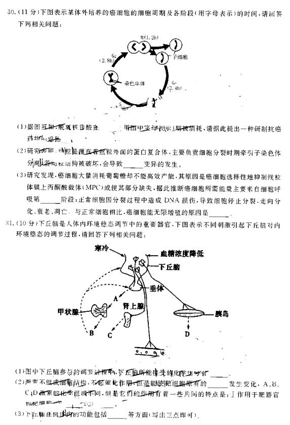 2019合肥二模理综试题及答案