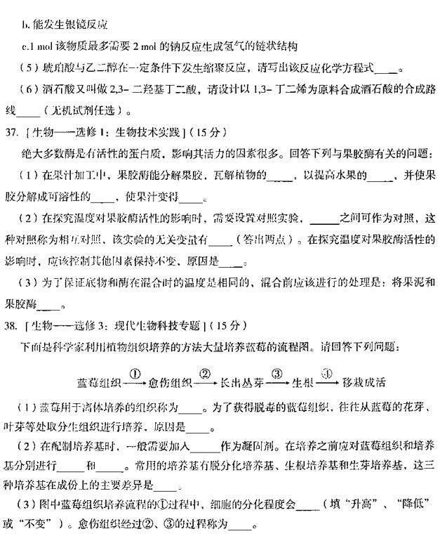 2019乌鲁木齐二诊理综试题及答案