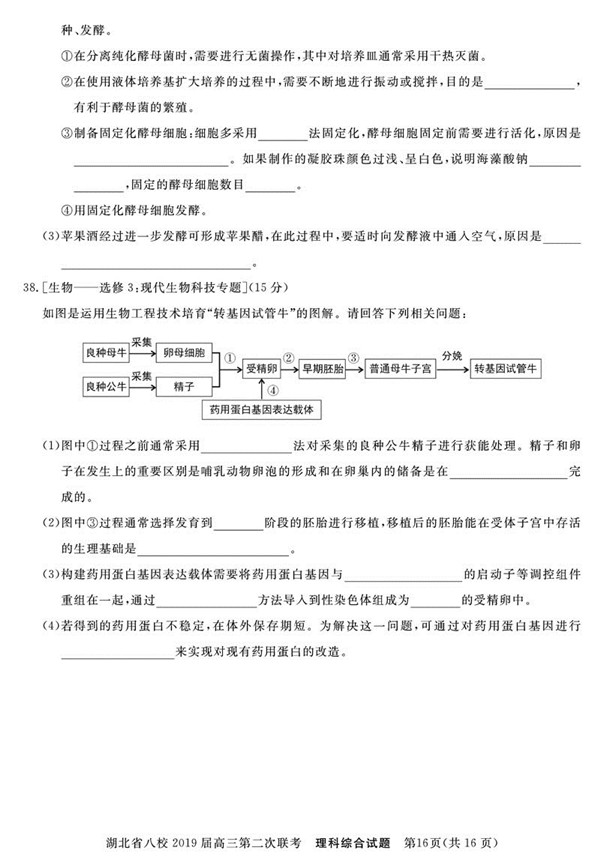 2019湖北省八校第二次联考理综试题及答案