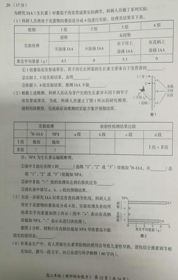 2019北京海淀区高三一模理综试题