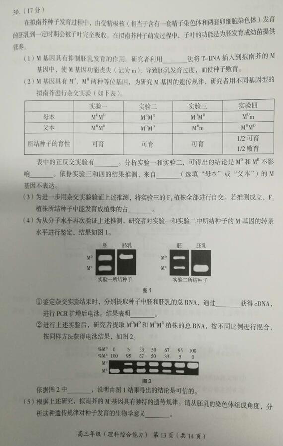 2019北京海淀区高三一模理综试题 2019北京海淀区高三一模理综试题