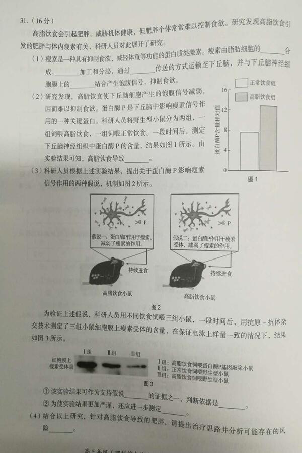 2019北京海淀区高三一模理综试题
