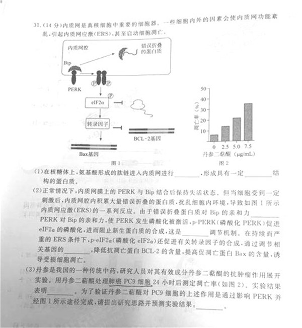 2019北京东城高三一模理综试题及答案