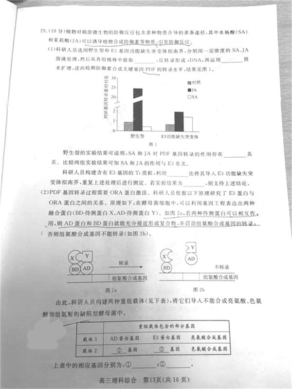 2019北京东城高三一模理综试题及答案