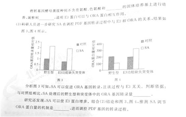 2019北京东城高三一模理综试题及答案