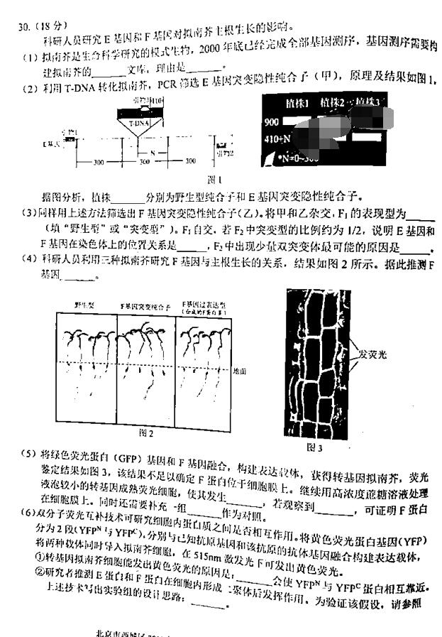 2019北京西城高三一模理综试题及答案