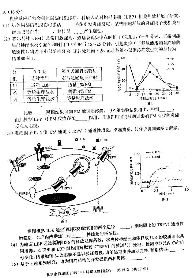 2019北京西城高三一模理综试题及答案