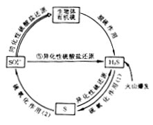 硫素循环示意图以上是临床执业医师考试辅导资料,祝大家考试顺利!