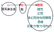 精神障碍的症状