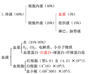 医疗卫生事业单位:生理学之血液系统考点(1)