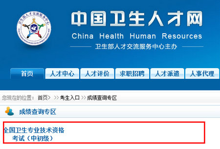 中国卫生人才网2014年卫生专业技术资格考试