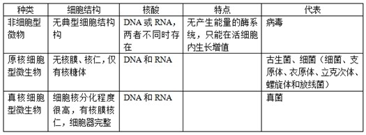 医疗卫生考试基础知识:微生物的定义和分类(图)