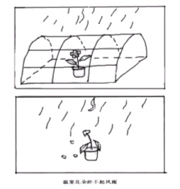 总结经典范文 对照复习拿高分