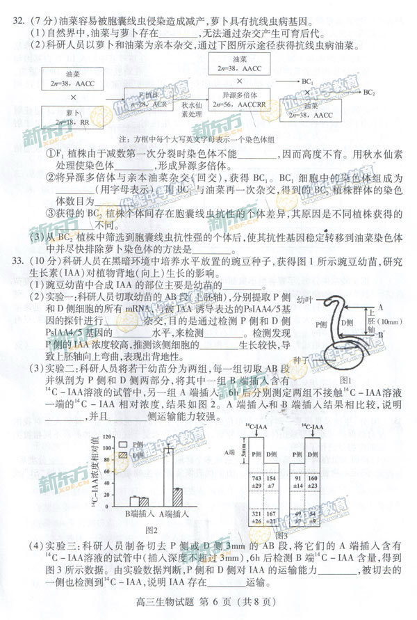 2015海淀区高三上学期期末考试生物试题及答案