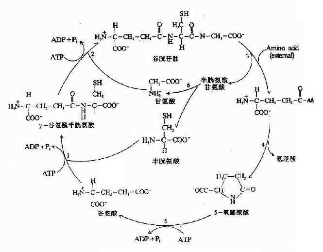 答:我是今年才考上的分数也不是很高两科都只有90多分简单说下嘛生化