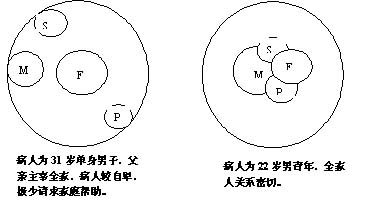 家庭评估家庭圈主管护师考试社区护理学指导