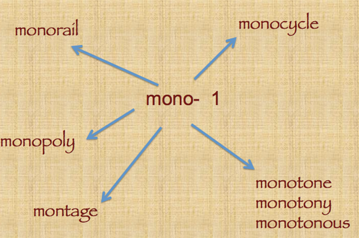 托福词汇积累：mono-的前世今生
