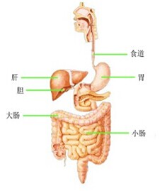 医疗招聘考试重点:上消化道出血的讲解与练习