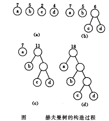 数据结构赫夫曼树复习重点