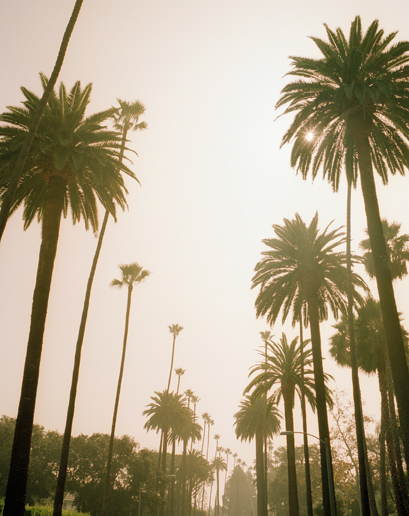 全球十大气味之城：洛杉矶